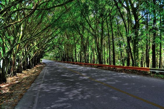 el tunnel-to-jarabacoa